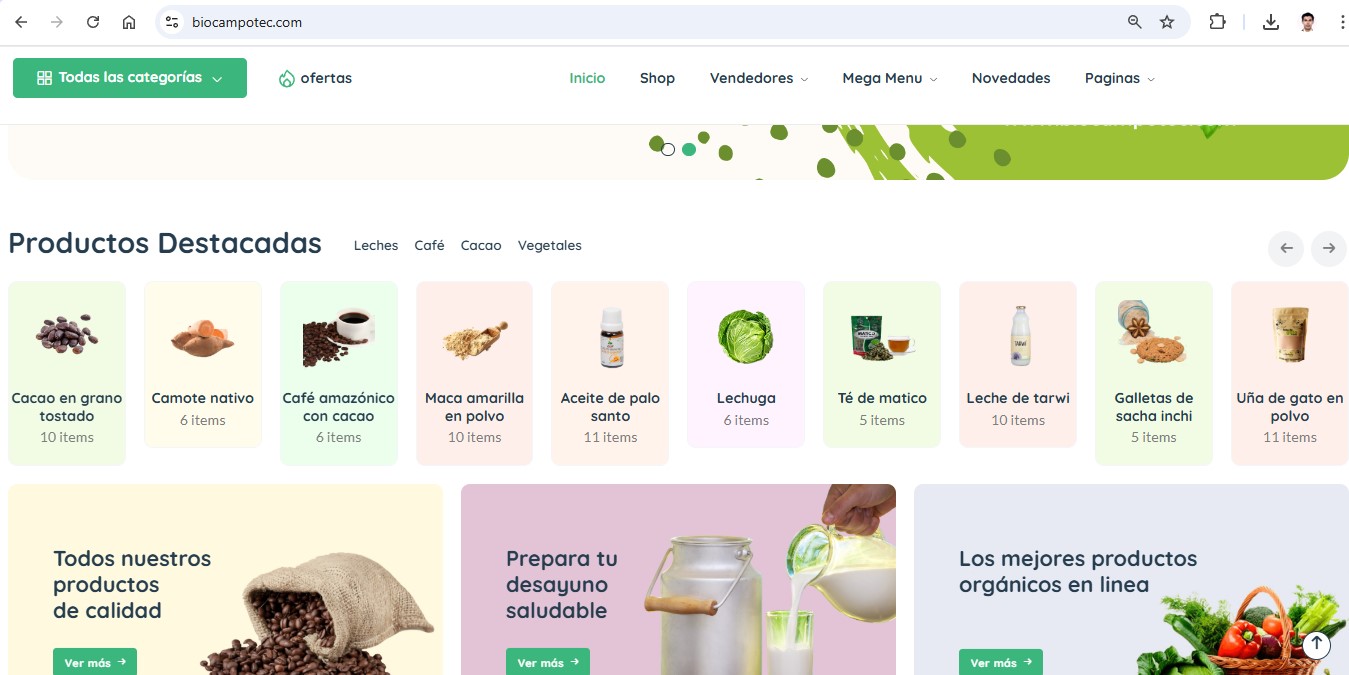 imagen1
